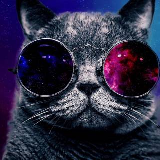 Galaxy kitten wallpaper