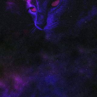 Galaxy kitten wallpaper