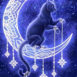 Galaxy kitten wallpaper
