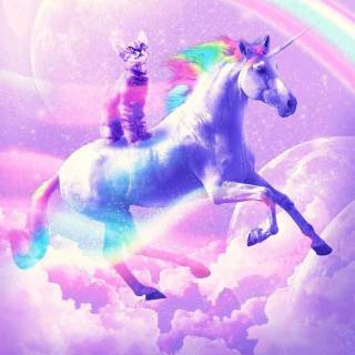Galaxy kitten wallpaper