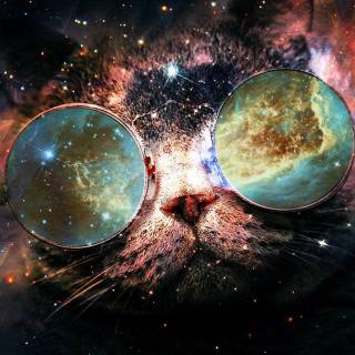 Galaxy kitten wallpaper