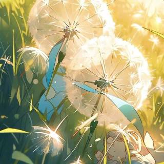 Dandelions anime wallpaper
