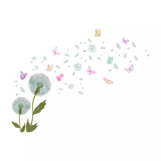 Dandelions anime wallpaper