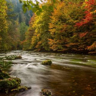 German nature 4k wallpaper