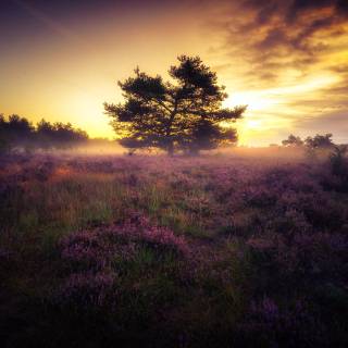 German nature 4k wallpaper