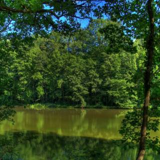 German nature 4k wallpaper