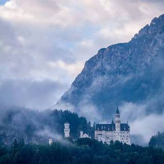 Forest castle wallpaper