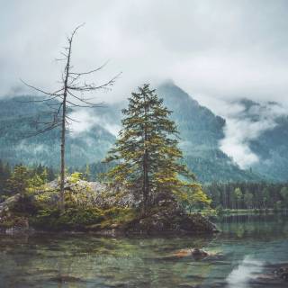 German nature 4k wallpaper