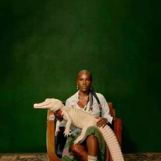 Alligator Bites Never Heal wallpaper