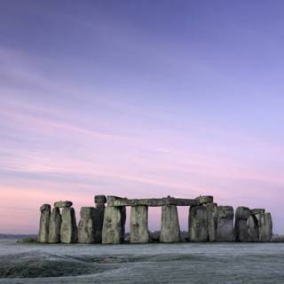 Windows 7 purple wallpaper