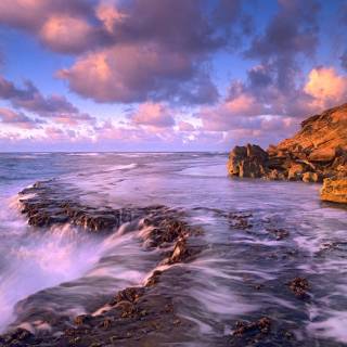 Windows 7 purple wallpaper