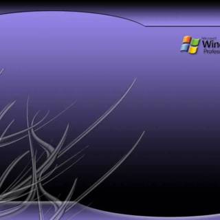Windows 7 purple wallpaper