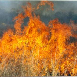 Gigantic fire wallpaper