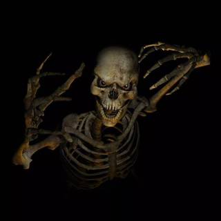 Dark magic skull wallpaper