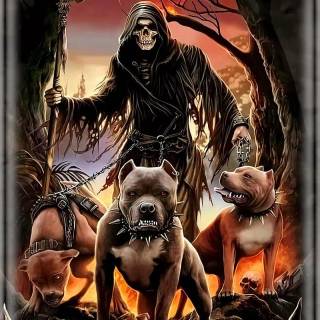 Dark magic skull wallpaper