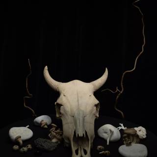 Dark magic skull wallpaper