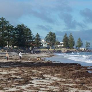 Adelaide Glenelg beach wallpaper