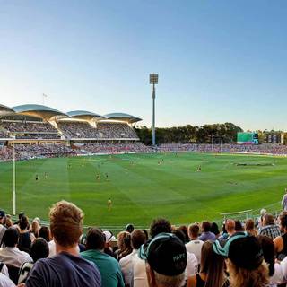 Adelaide Oval wallpaper