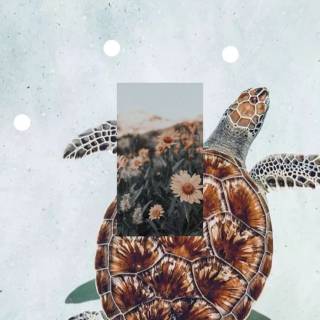 Preppy ocean with turtles wallpaper
