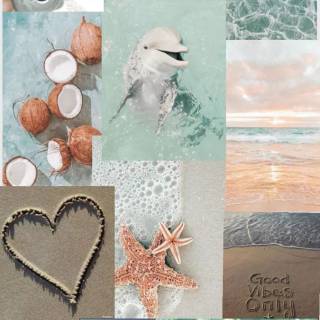 Preppy ocean with turtles wallpaper