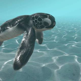 Preppy ocean with turtles wallpaper