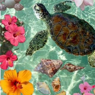 Preppy ocean with turtles wallpaper