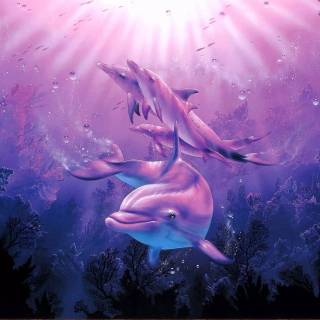 Ocean with dolphins wallpaper