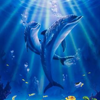 Ocean with dolphins wallpaper