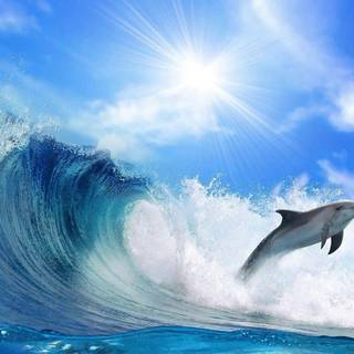 Ocean with dolphins wallpaper