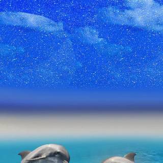 Ocean with dolphins wallpaper