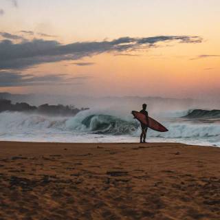 Surfing beach wallpaper