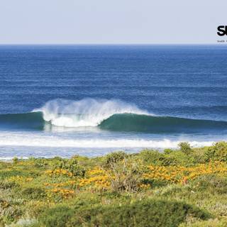 Surfing beach wallpaper