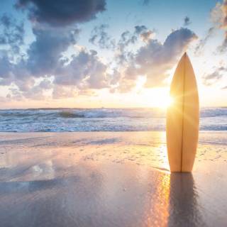 Surfing beach wallpaper