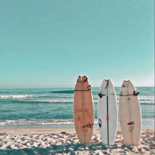 Surfing beach wallpaper
