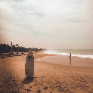 Surfing beach wallpaper