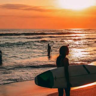 Surfing beach wallpaper