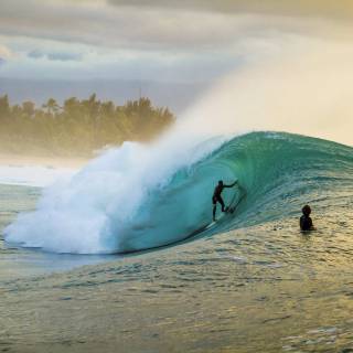 Surfing beach wallpaper