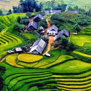 Vietnam culture wallpaper