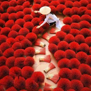 Vietnam culture wallpaper