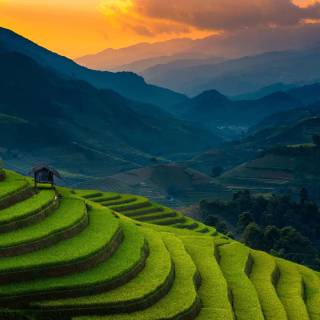 Vietnam culture wallpaper
