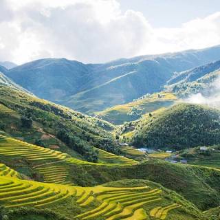 Vietnam culture wallpaper