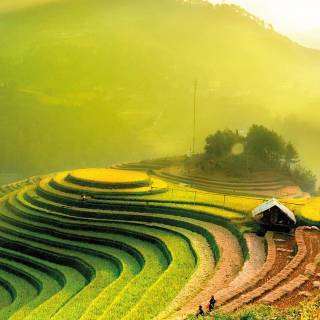 Vietnam culture wallpaper