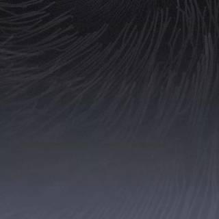 Wuthering Waves Black Shores wallpaper