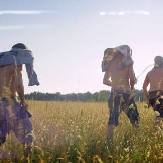 The Kings of Summer wallpaper