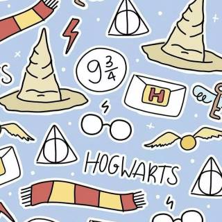 Harry Potter pattern wallpaper