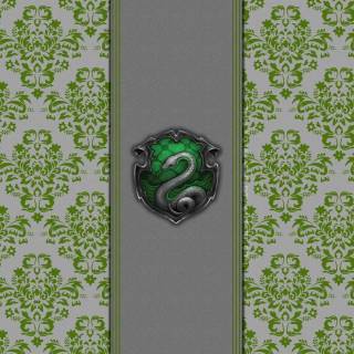 Harry Potter pattern wallpaper