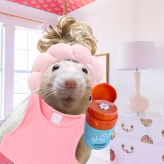 Preppy rat wallpaper