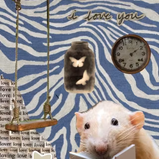 Preppy rat wallpaper