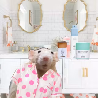 Preppy rat wallpaper