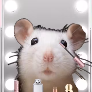Preppy rat wallpaper